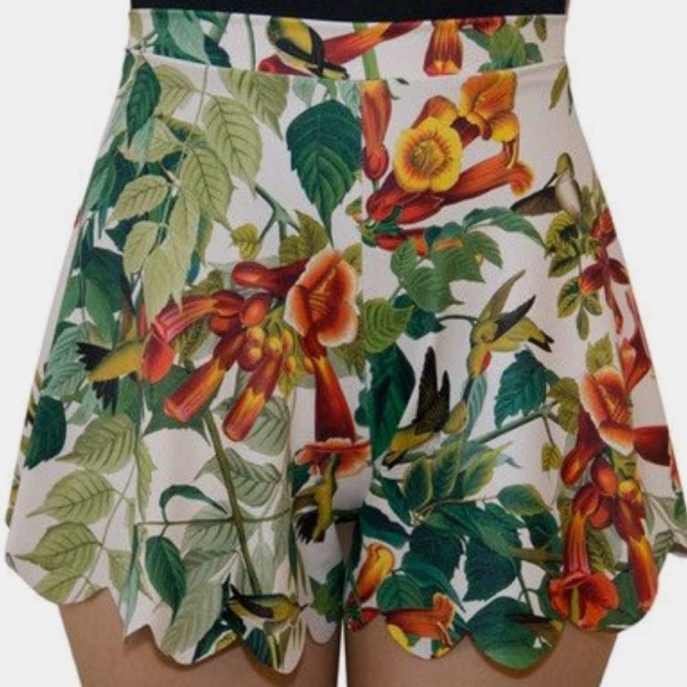 Black milk clothing hummingbirds shorties